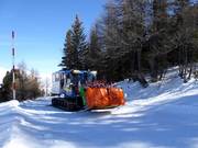 Tipp für die Kleinen  - Alpuschnaager