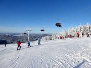 Panorama im Skigebiet Mitterdorf - Dein Almberg Erlebnis