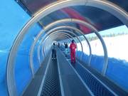 Moderne Förderbänder bringen die Anfänger nach oben