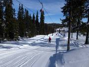 H10 Lången 1 - Schlepplift mit T-Bügel/Anker