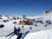 Sternenbar auf dem Stein
