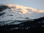 Viel Platz zum Freeriden