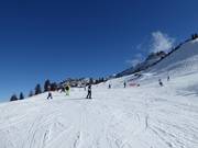 Leichte Panoramaabfahrt