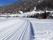 Langlauf Vinschgau – Langlauf Sulden am Ortler (Solda all'Ortles)