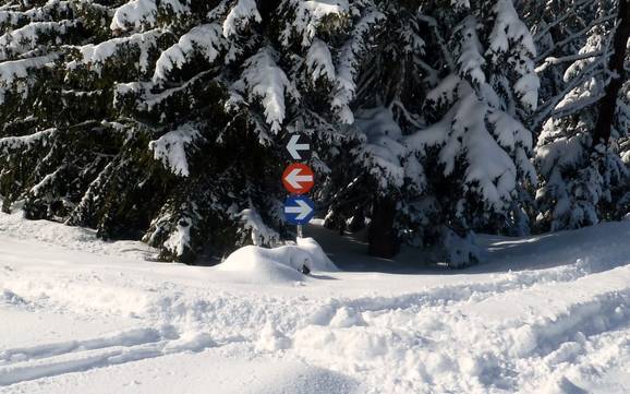 Silberregion Karwendel: Orientierung in Skigebieten – Orientierung Kellerjoch – Schwaz