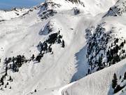 Freeridegebiet unterhalb der DreiSeenBahn