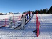 Förderband Ciampedie