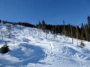 Buckelpiste im Skigebiet Trysil