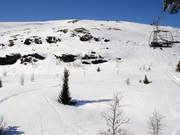Freeridemöglichkeiten an der Sesselbahn