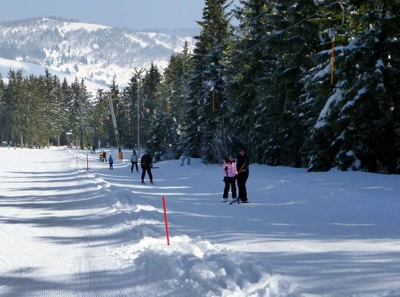 Haldenköpflelift 1 - Schlepplift mit T-Bügel/Anker