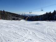 Leichte Piste Schwaigwiese Nr. 1