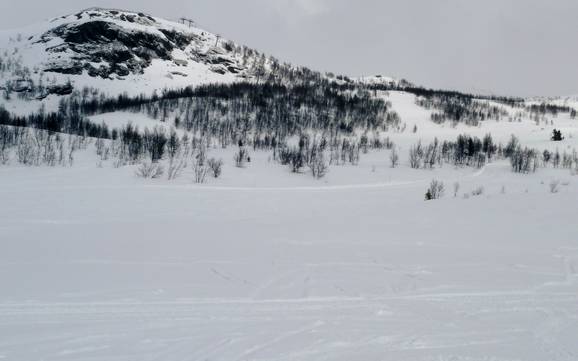 Skifahren bei Beitostølen