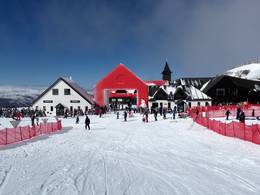 Cardrona