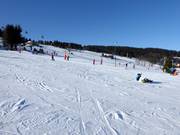 Leichte und breite Pisten in Zieleniec
