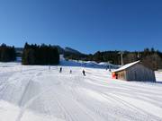 Haupt- und Flutlicht-Abfahrt