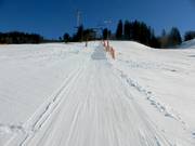 Kapellenlift - Schlepplift mit T-Bügel/Anker