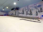 Ski Egypt 1 - Förderband/Zauberteppich