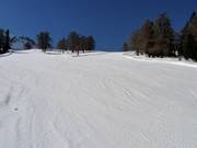 Talabfahrt nach Les Collons