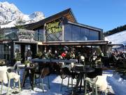 Berghütten Tipp König & Kuh