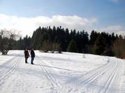 Altastenberg liegt an der Rothaarloipe