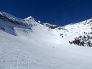 The Bowl am Powder Seeker 6