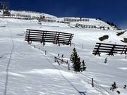 Schutz der Aufforstungsgebiete