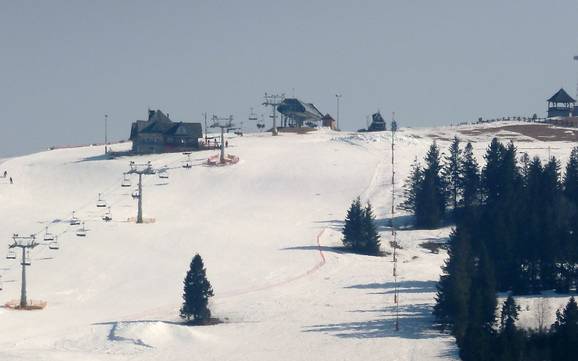 Skifahren bei Czarna Góra