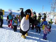 Die Kinder freuen sich auf Bobo