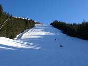 Piste B20 Bürgerwald (schwarz)