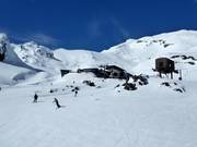 Leichte Pisten am Delta Chair