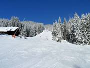 Talabfahrt Nr. 9a Zwieselalm