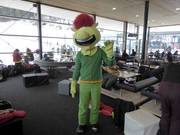 Das Maskottchen Fichtl