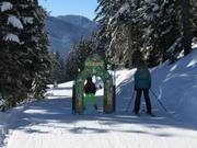 FilZOO Abenteuerstrecke