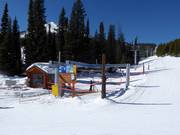 Pony Express - 3er Sesselbahn fix geklemmt