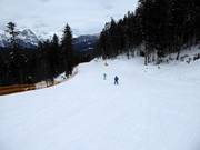 Piste vom Brennerköpfl zur Talstation Gschwandtkopf