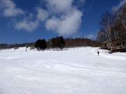 Leichte Piste White Lover am West Mountain