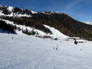 Leichte Pisten am Alm-Express und am Förderband