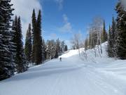 Leichte Piste Teton Vista Traverse