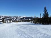 Leichte Piste Vesleseterbakken