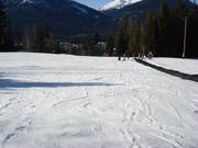 Anfängergelände im Talbereich