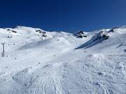 Piste A Real Journey