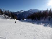 Leichte Anfängerpiste Scoiattolo an der Mittelstation Tarlenta