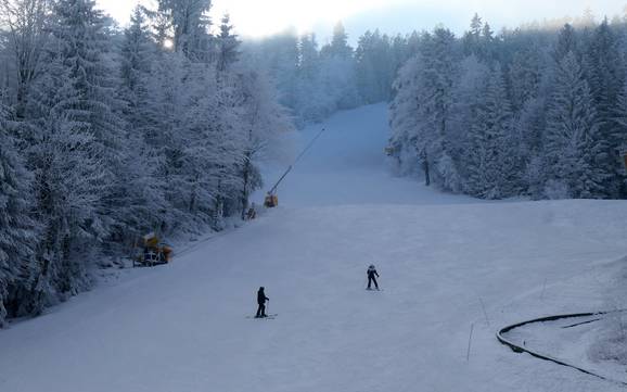 Skigebiete für Anfänger im Hohenbogenwinkel – Anfänger Hohenbogen – Neukirchen bei Hl. Blut