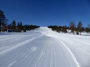 Piste Femåbacken in Tandådalen