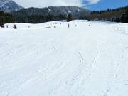 Flache, breite Pisten in Hinterthal