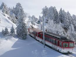 Vitznau-Rigi-Bahn