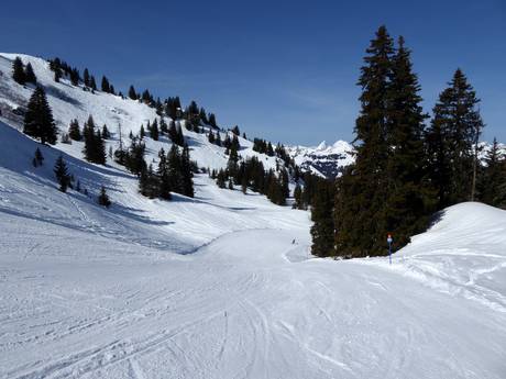 Pistenangebot Gstaad – Pistenangebot Rinderberg/Saanerslochgrat/Horneggli – Zweisimmen/Saanenmöser/Schönried/St. Stephan