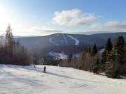 Blick vom Hochficht zum Zwieselberg