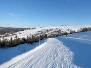Blick über Hundfjället mit Tandådalen im Hintergrund