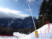 Schneilanze in Folgàrida